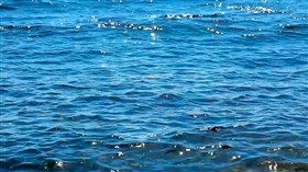 Sea Blues sb