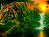 4K Tigers Jungle