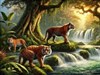 4K Tiger Crossing