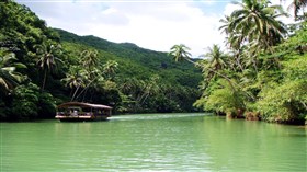 Rainforest River Watch