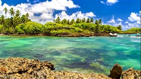 Tropical Island View