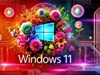 4K Win11 bouquet