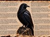 4K The Raven Poem by: AzDude