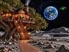 4K Treehouse by: AzDude