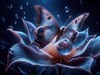 Alien Butterfly by: JanOscar