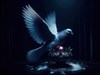 Peace Secret by: JanOscar