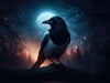 The Magpie