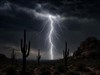 Desert Storm by: LightStar