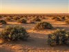 Desert Sunset by: LightStar