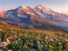 Alpine Mountain Fields by: LightStar