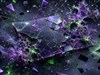 Broken Screen by: LightStar