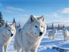 Winter Wolves by: LightStar