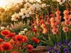 Garden Flowers by: LightStar