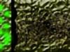 Predator's Anguish by: Weaksid