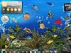 Fishbowl by: TWeissMA