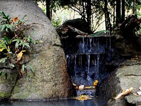 small forest waterfall