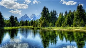 Beauty of Nature