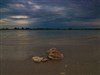 il silenzio by: c31marius