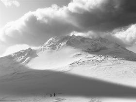White Powder