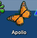 Apollo Dock Icon