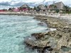 Costa Maya by: Island Dog