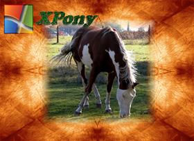 XPony