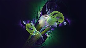 Venus Flytrap LV
