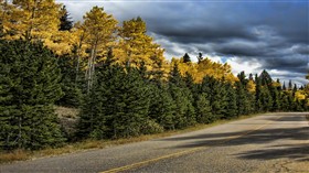 Colorado Autumn Road