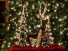 Christmas Glass by: RomanDA