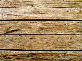 Wood Texture 1