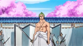 Zoro Fight