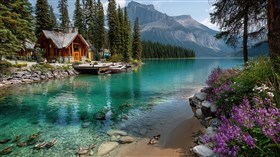 Farley's Cabin 3