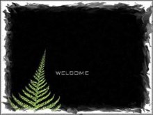 Green Fern Welcome 2