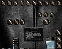 LeatherTop