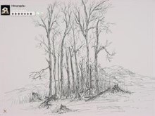 Sketch of the nature