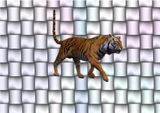 Tiger Tile