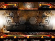 Tiger Space Desktop