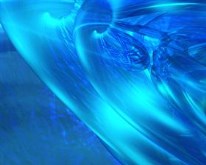 Blue Fly
