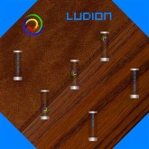 Ludion