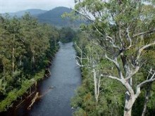 Huon River 5