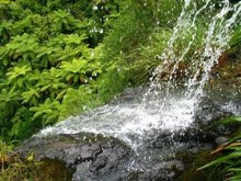 Waitakere Waterfall