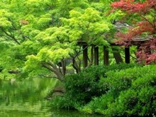 Teahouse
