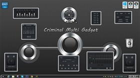 Criminal Multi Gadget
