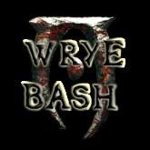 Oblivion: Wrye Bash