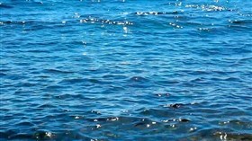 Sea Blues sb