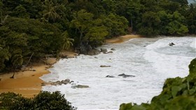 Island Beach Waves