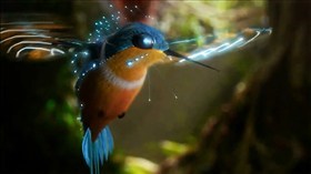 3D Humming Bird