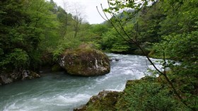 Georgia River