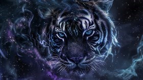 4K Eyes of the Tiger