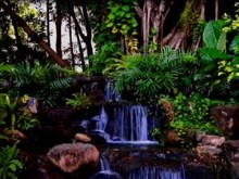 lush garden waterfall